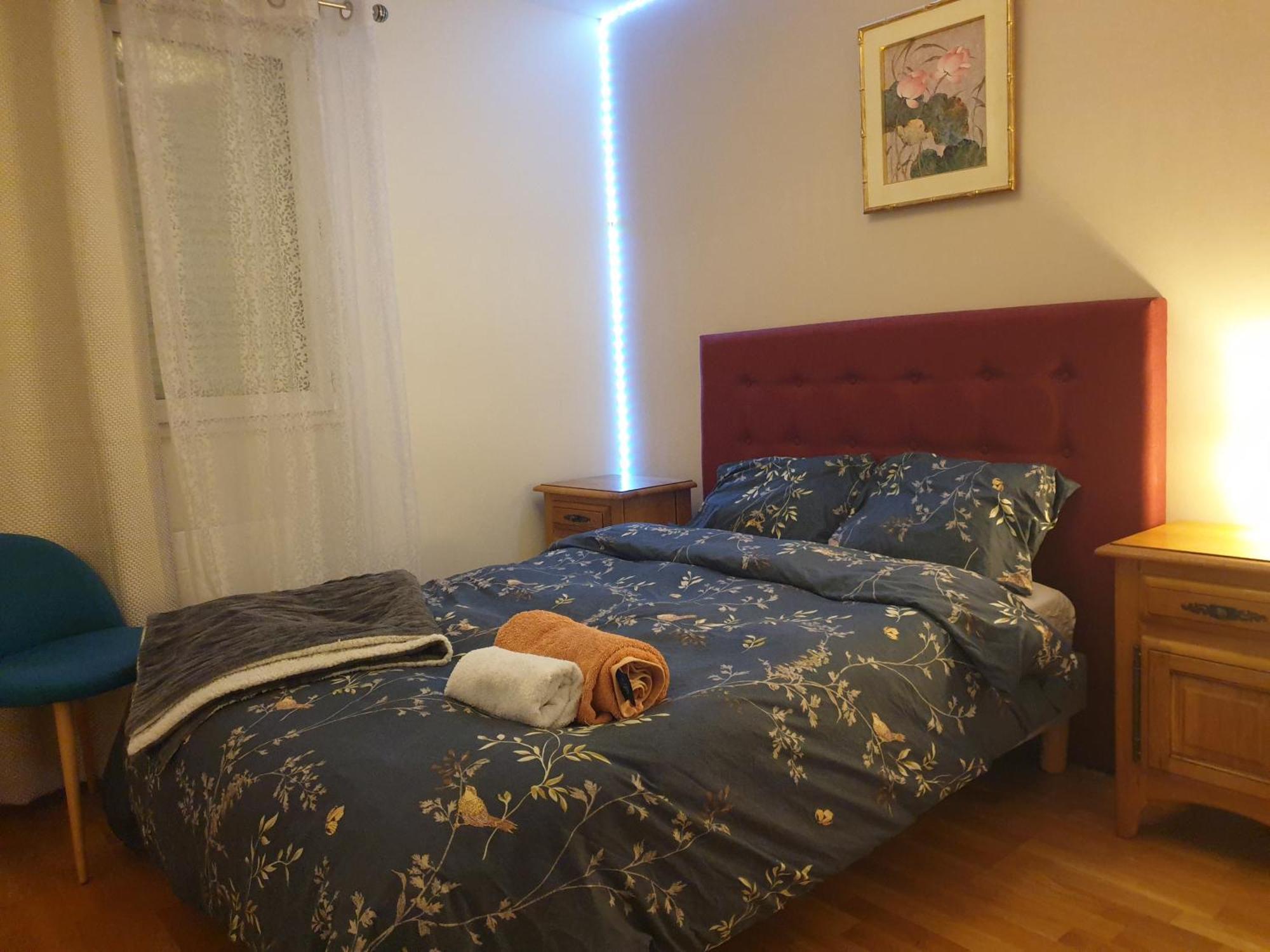 Spacieux Et Calme, Style Parisien, Toutes Commodites, Ideal Pour Un Sejour Authentique Saint-Denis  Cameră foto